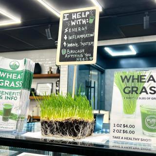 Wheat grass has so many great benefits! Try some at @pureeatsnyc @bqefitness and learn more about how a shot a day helps with energy, inflammation, immune health and more! #wheatgrassshot #wheatgrass #healthylifestyle #healthyfood #wheatgrassjuice